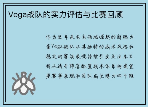 Vega战队的实力评估与比赛回顾