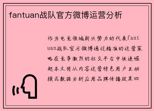 fantuan战队官方微博运营分析
