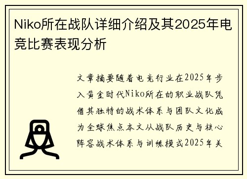 Niko所在战队详细介绍及其2025年电竞比赛表现分析